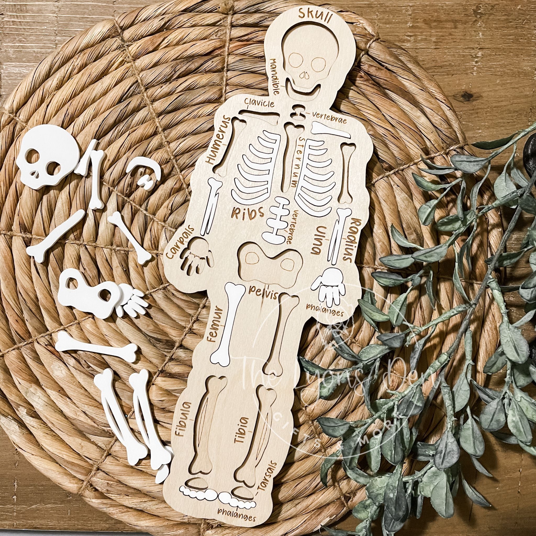 3D Skeleton Puzzle