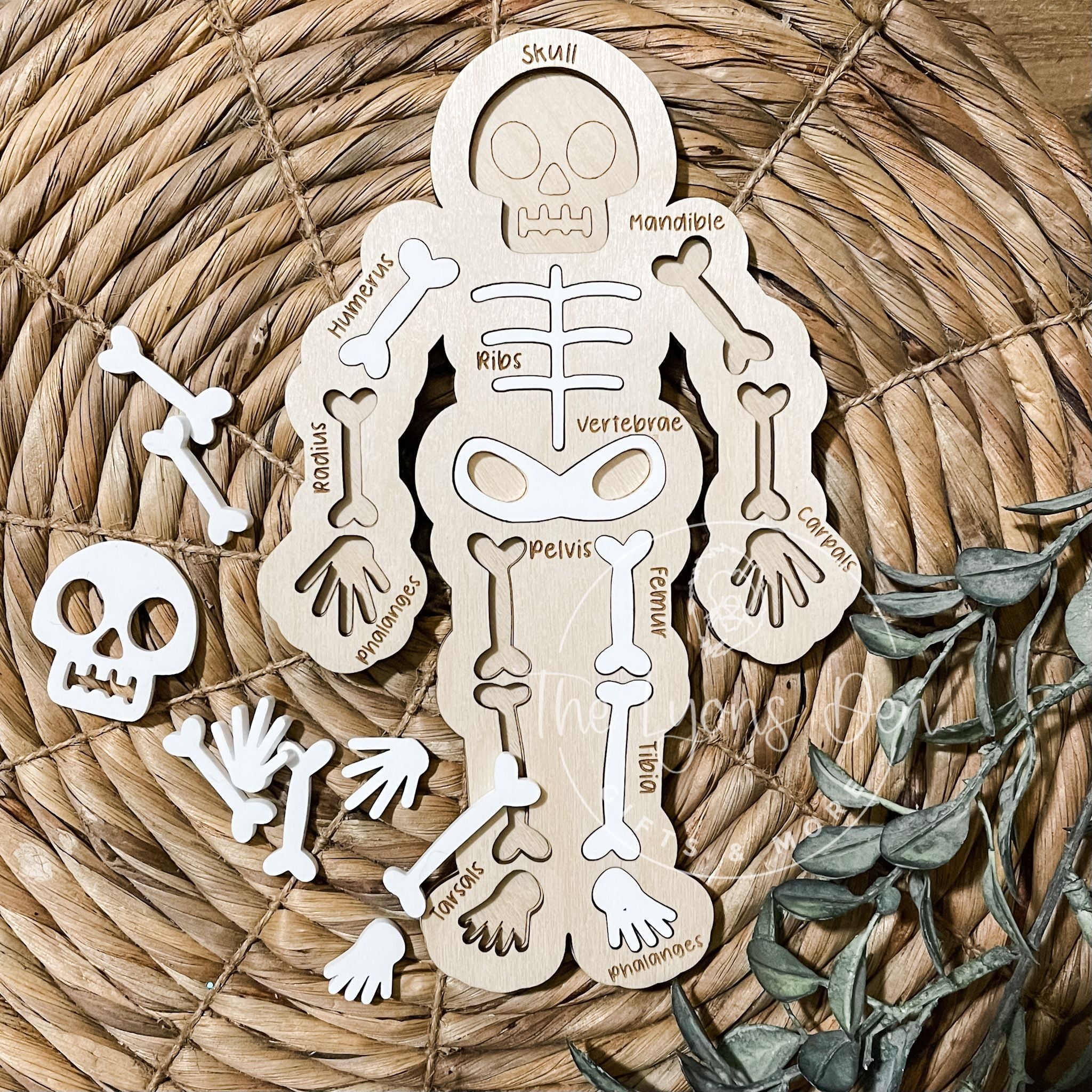 3D Junior Skeleton Puzzle